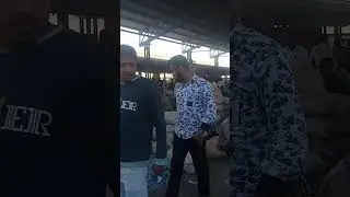 ujjain mandi bhev