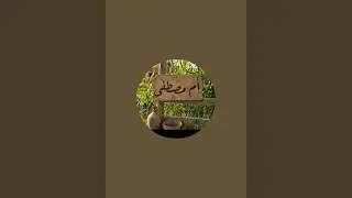 بدأت قناة 