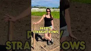 Hand Transplanting Sweet Corn DIY Planting Jig #garden #plant #gardening #sweetcorn  #veggies
