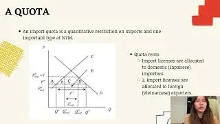 Trade Policy Analysis