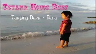 Tevana House Reef Pantai Bara - Tanjung Bira