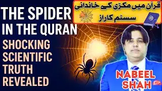 The Spider in the Quran: Shocking Scientific Truth Revealed | Islam & Modern Science Documentary