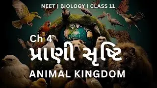 પ્રાણી સૃષ્ટિ | ANIMAL KINGDOM In Gujarati | BIOLOGY Class 11 Ch 4 | 3D Animated| NEET 2025 One Shot