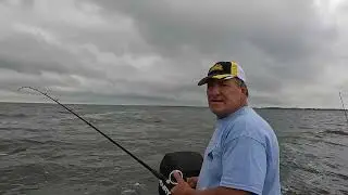 Let's Review the WalleyeX Predator Lure