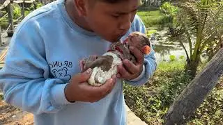 Dad Kisss To Comfort Zhuly From Collllld