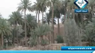 تاريخ القرينة