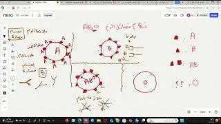 الجهاز الدوري شرح فصائل الدم