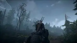 THE WITCHER 3   Reshade PATHOS IMMERSIVE LIGHTING Mods GOG