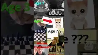 Evolution of chess grandmaster Mittens #viral #chess #cat #shorts