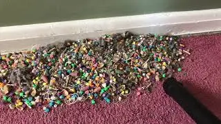 Quick crunch of Janelle&rsquo;s Jam Mix#asmr #satisfying #vacuum #crunchy #vacuumsound #vacuumcleaner