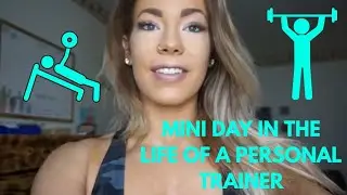 NPC Wellness Prep | vl. 1
