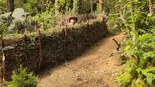 Back in my stone boat - Making my natural fence in my garden | Solo survival bushcraft (episode 48)