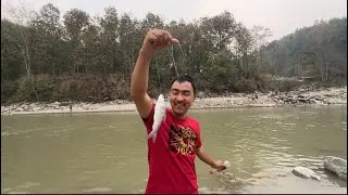 Have you catch fish in Rangit river # vlog