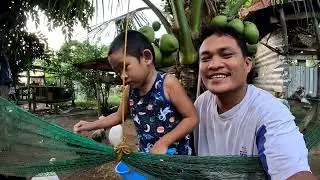  ANG DAMING ITLOG NG MGA MANOK 🐣