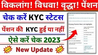 कैसे पता करें KYC हुई है या नहीं || विकलांग! विधवा! वृद्धा! पेंशन KYC || @vpallinone8984