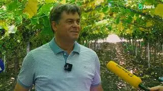 Petru Mihov, conducător 