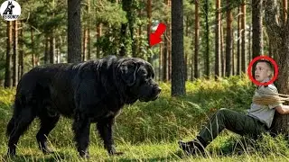 Police Dog discovered a park ranger tied to a tree &mdash; a shocking discovery