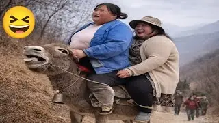 Ultimate Try Not To Laugh Challenge 2026
