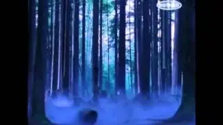 Skin ( Wolf lake tribute )