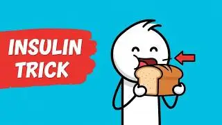 The Insulin Mechanism Most People Never Use for Fat Loss