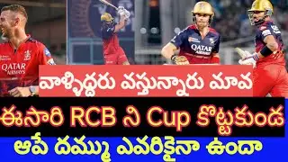 Hazlewood and Tim David will play for RCB in playoffs