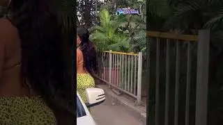 Poonam Pandey Gives A 'Wild' Fashion Inspiration In Her Yellow Leopard Print Dress | N18S | #shorts