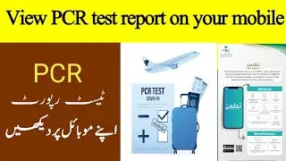 How to Get PCR Test Report Online |pcr ki report kahan say jaldi hasil karin |PCR test report online