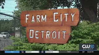 Meeting To Propose Housing, Kids Camp In Detroit