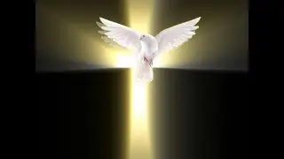 Shepherd's Peace Ministries Trailer