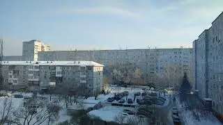 тараканьи бега    .001