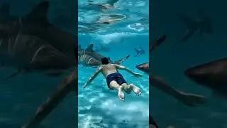 ONE SHARK GOT TOO CLOSE&hellip; 🦈 #AIshorts #SharkAttack #UnderwaterChallenge #VlogStyle #Shorts