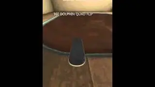 [True Skate]360 quan flip