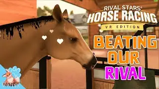 Our rival is going down! Subscriber shout outs, breeding 6 star horses and more!
