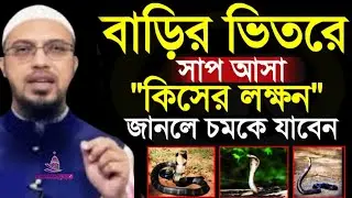 বাড়ির ভিতরে সা*প আসা 