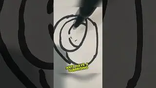 Why Drawing a Circle Around an Ant Traps It #shortsviral #shortsfeed #shortsvideo #shorts