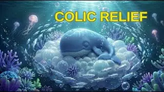 10 Hours Whale Lullaby + Ocean Waves for Deep Sleep (No Ads)
