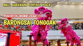 ATRAKSI BARONGSAI DI MALL KCP‼️