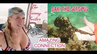 Oaki The Octopus - Sunny Sailor - special relationship of trust - Amazing Sea life - Caribbean
