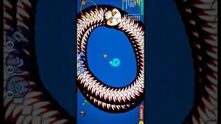 🔥🐍Worms Zone io 🤯Viral snake game video #shorts#snake #game #wormszone #wormate_zone_io #zonegamerop