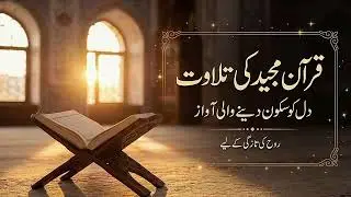 کو سکون دینے والی قرآن پاک کی تلاوت @Quran16g 