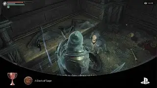 Demon's Souls A Dash of Sage Hidden Trophy