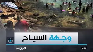 سكيكدة.. الشواطئ المعزولة.. وجهة مفضلة للعائلات من أجل قضاء أوقات ممتعة