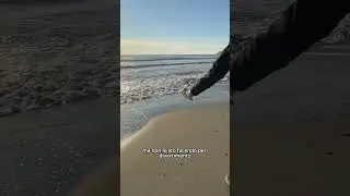 Sono solo scivolato 🌊 #divertente #cane #cucciolo #maltipoo #funny