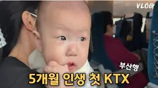 육아 VLOG | 5개월아기 첫 KTX 🚅 수원 ➡️ 부산  성공기, 기차에서 먹고 자고 싸고 다함