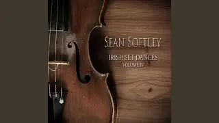 Fiddler Around the Fairy Tree 69