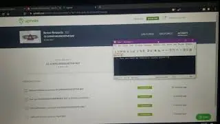 BRAVE PUBLISHER REWARDS PAYMENTS