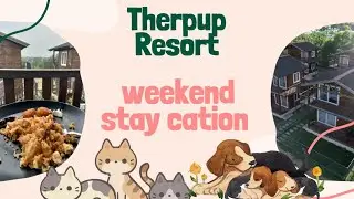 Therpup resort || Pet Cafe || Weekend staycation