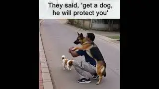 Tiny Dog vs Big Dog vs Reality 😂 #funny #dogmemes #shorts