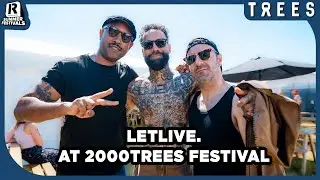 letlive.'s reunion tour, future plans and Kneecap | 2000trees