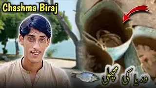 Darya Ki Fish 🐠 | Chashma Biraj 🌊 